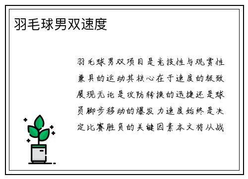羽毛球男双速度