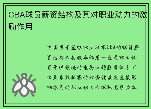CBA球员薪资结构及其对职业动力的激励作用